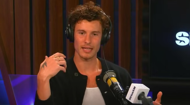 Shawn Mendes Boyfriend, Age, Education